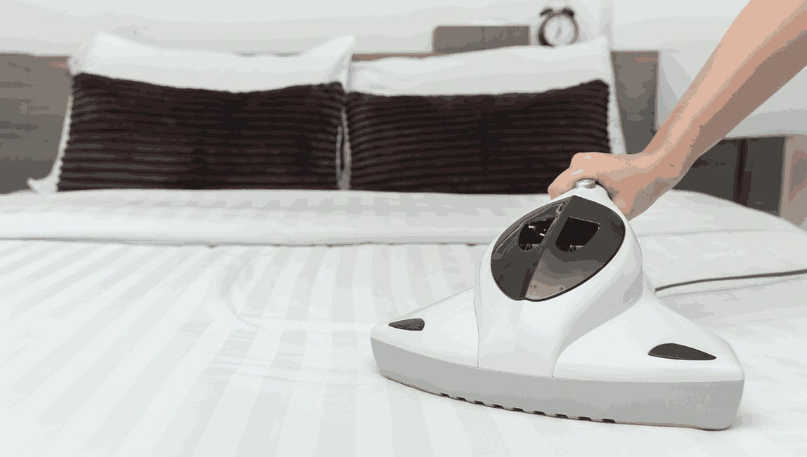 Professional Mattress Cleaning Greenvale